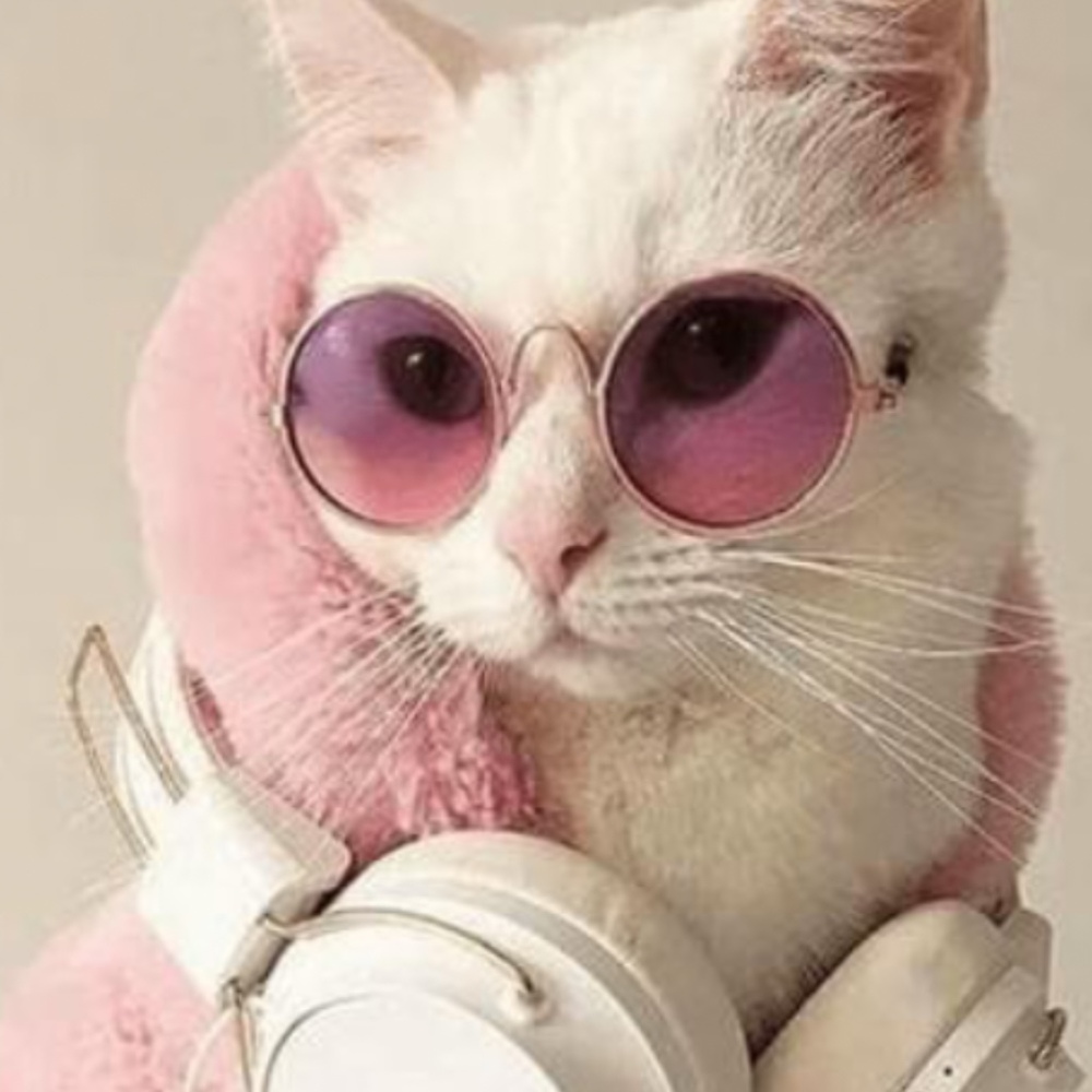 Meet your Posher, Posh